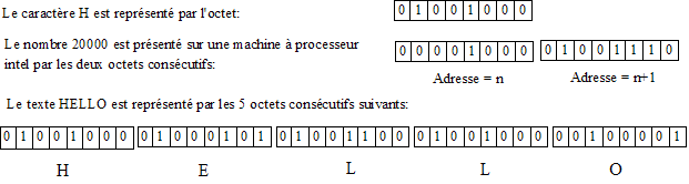 Representation des donnees